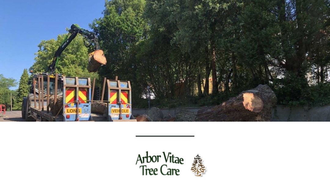 Four Practical Tree Care Tips That You’ll Receive from Every Tree Surgeon