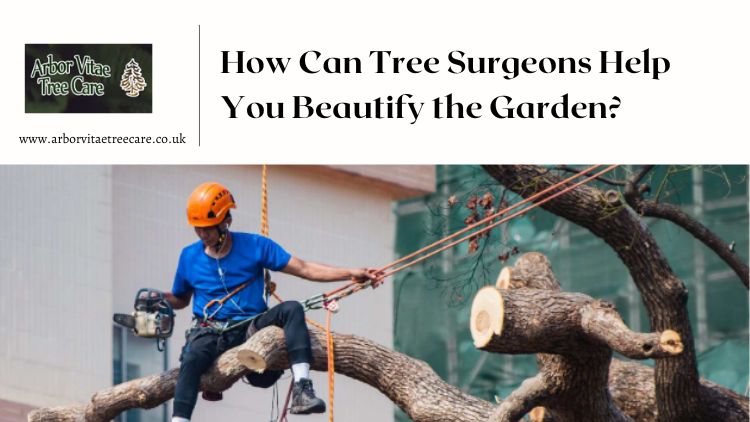 How Can Tree Surgeons Help You Beautify the Garden?